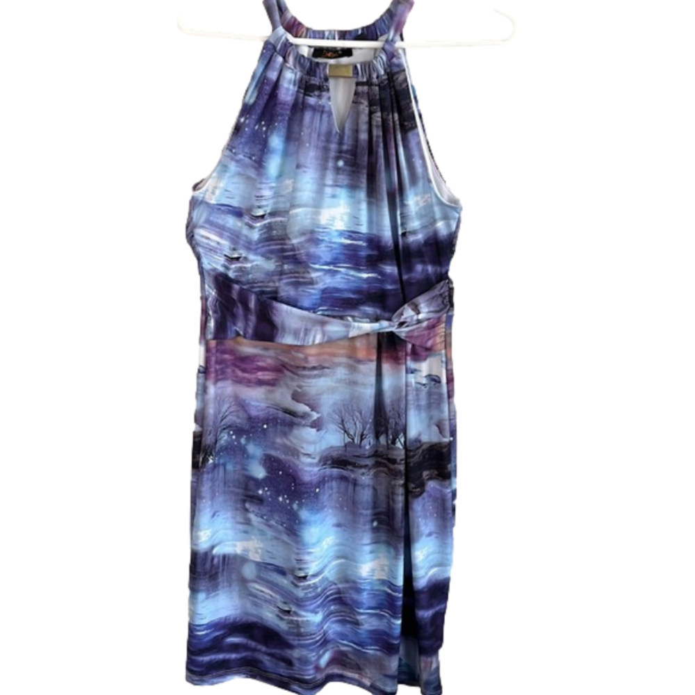 DEX Dress Women’s Sleeveless High Neck Midi Multi Color Size Med
